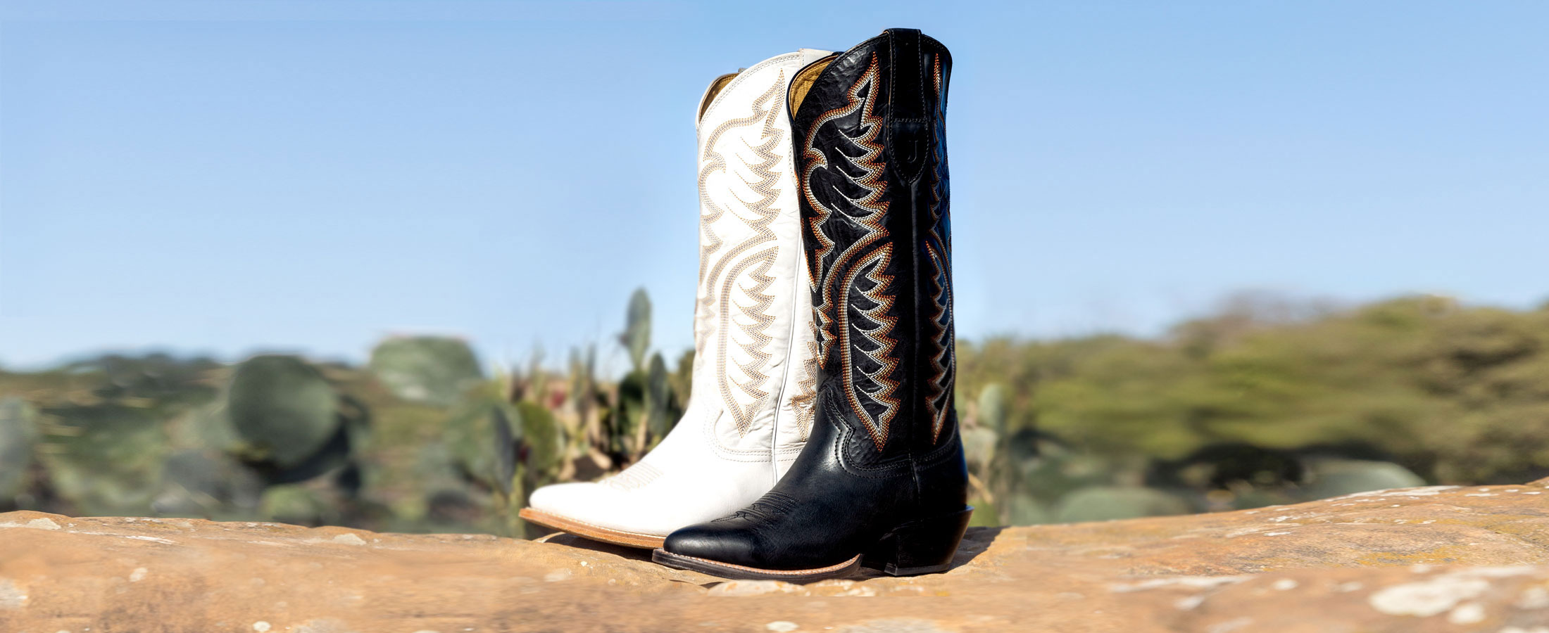 The Evelyn 15&rdquo; Western Boot in colors of coal and vintage ivory sitting on a rock with cactus in the background. 